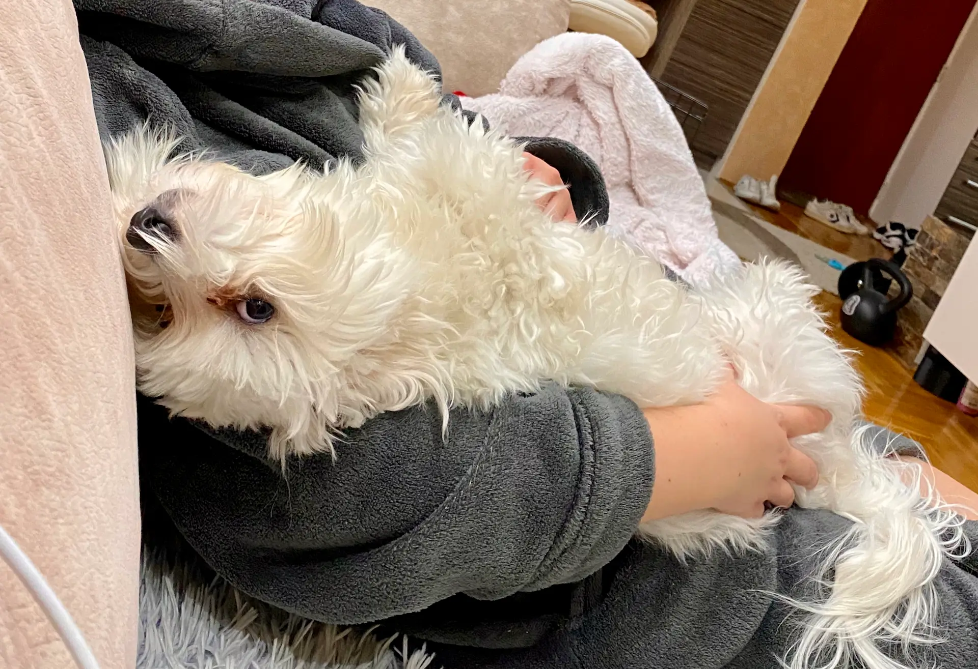 Casper cuddling