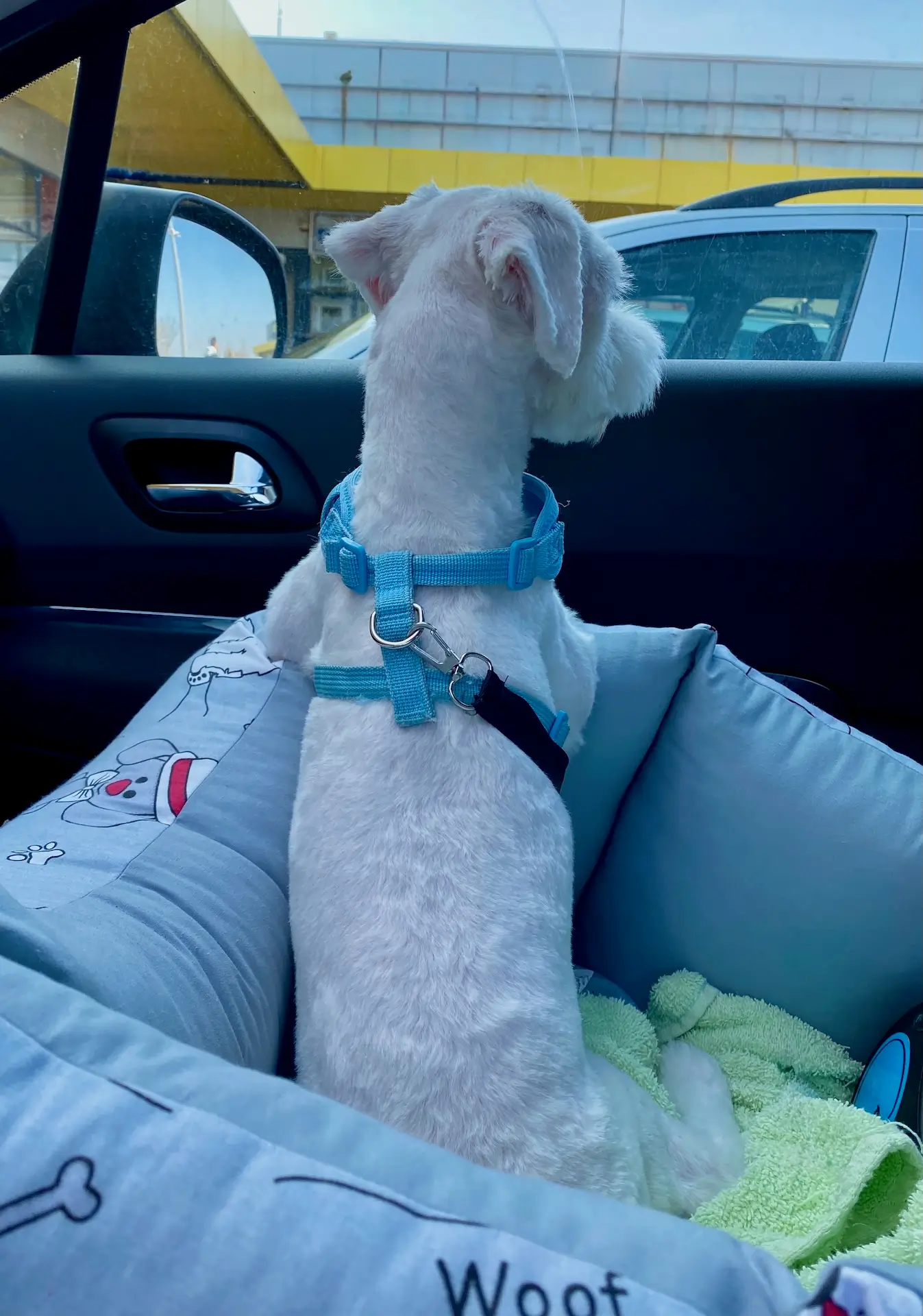 Casper locked in