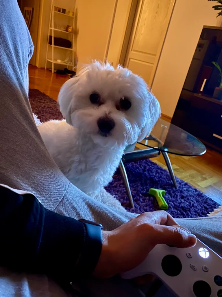 Casper wants to play