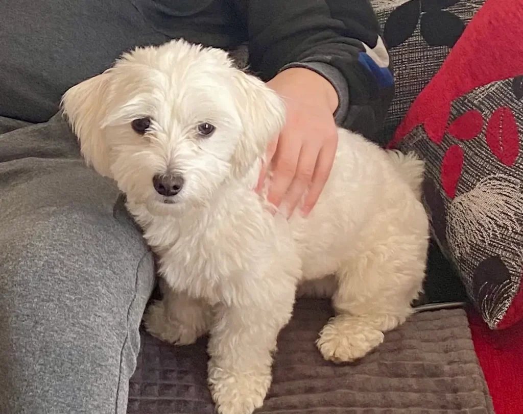 Casper sitting and cuddling