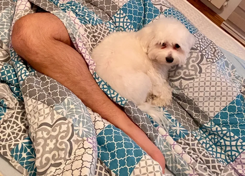 Casper sleeping between legs
