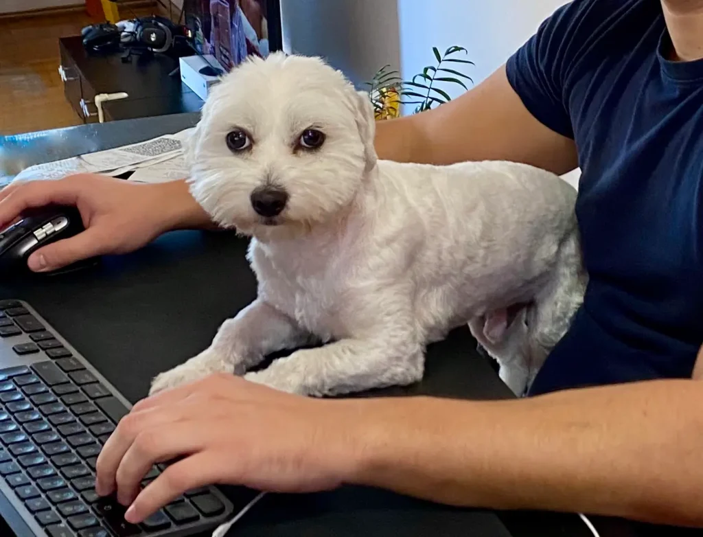 Casper working