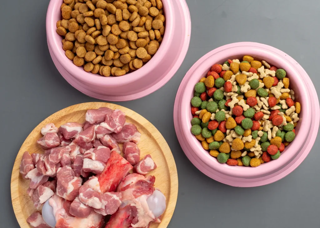 Maltese dietary needs