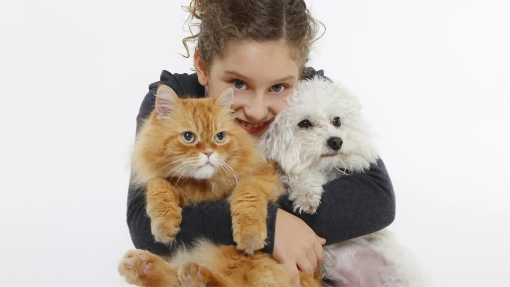 Maltese and cat with a kid