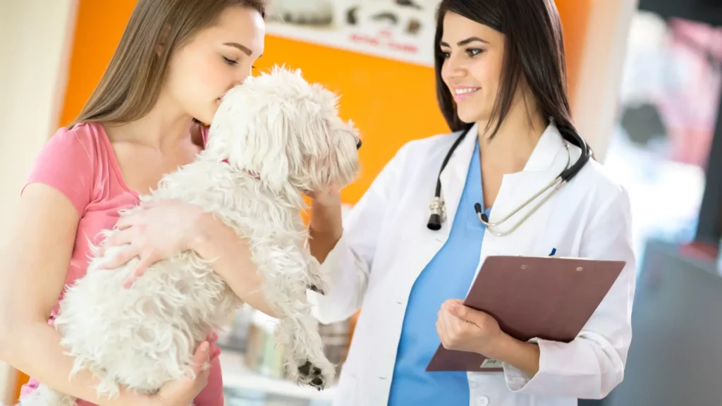 Maltese with separation anxiety seeking professional help