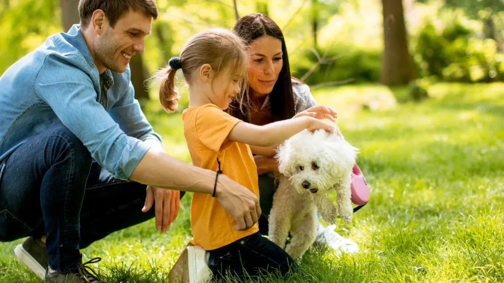 Maltese with familiy